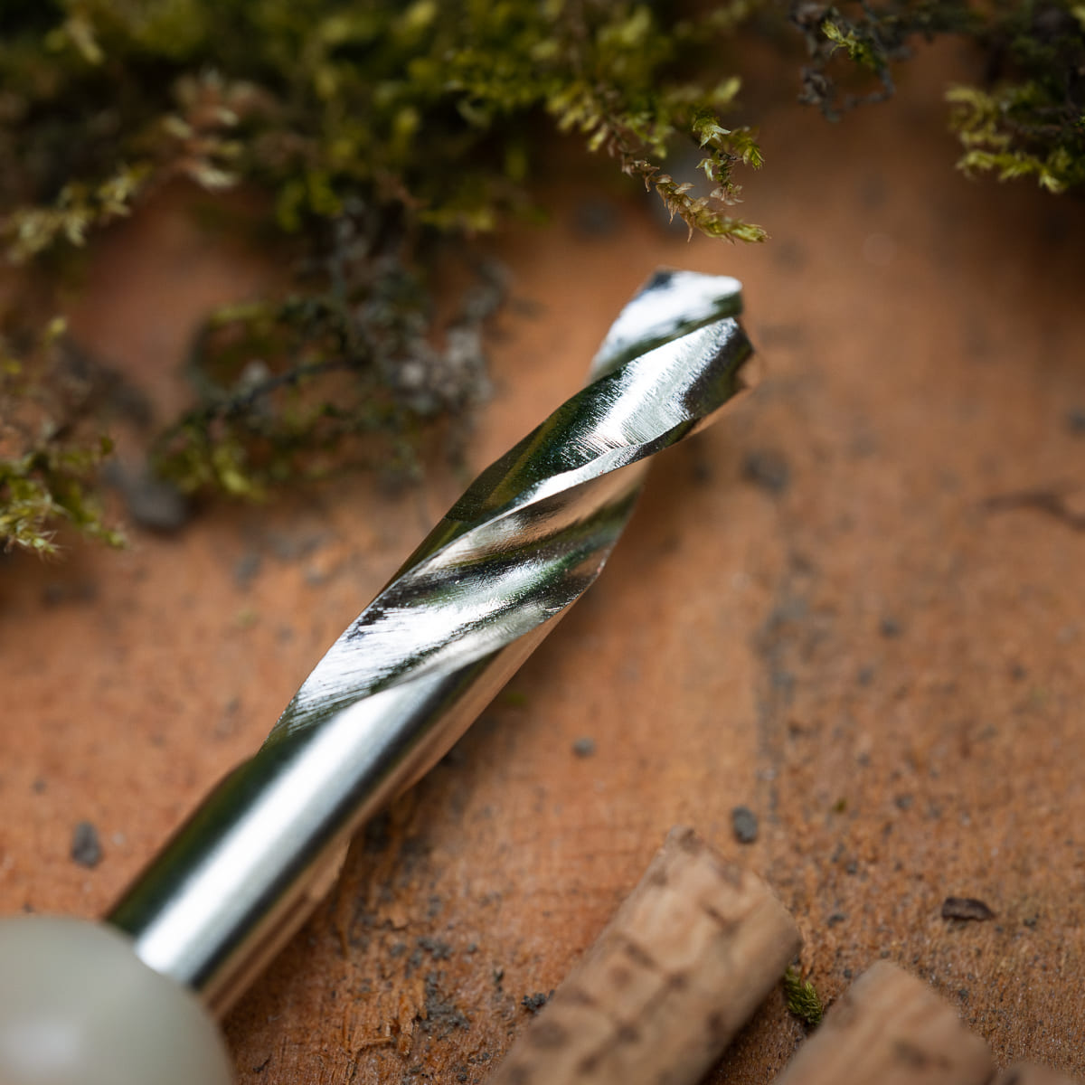 Bait Drill + Cork Sticks (3pcs)