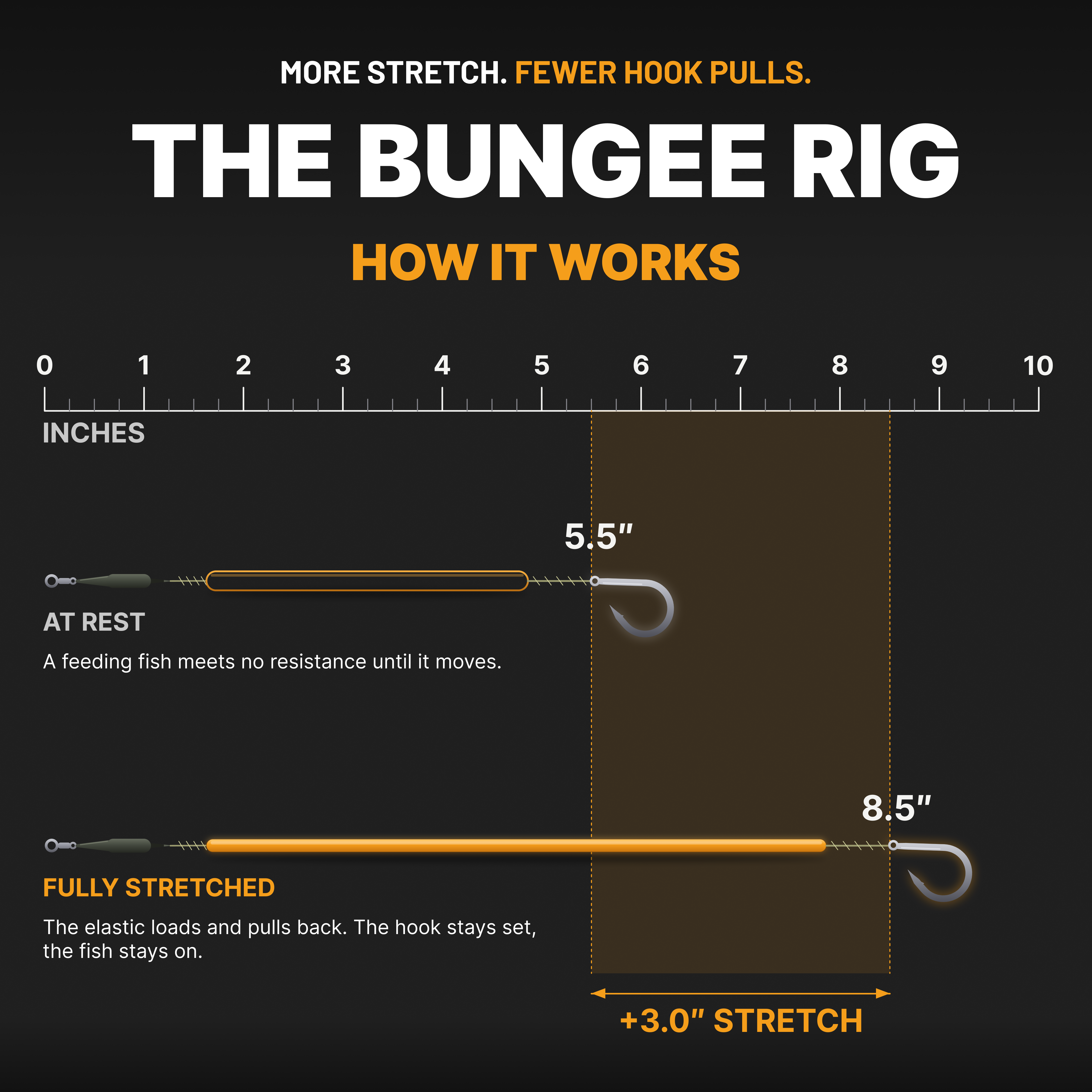 Bungee Multi Rig