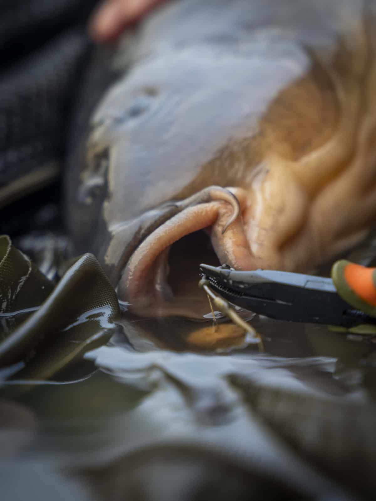 Puller & Unhooking Pliers