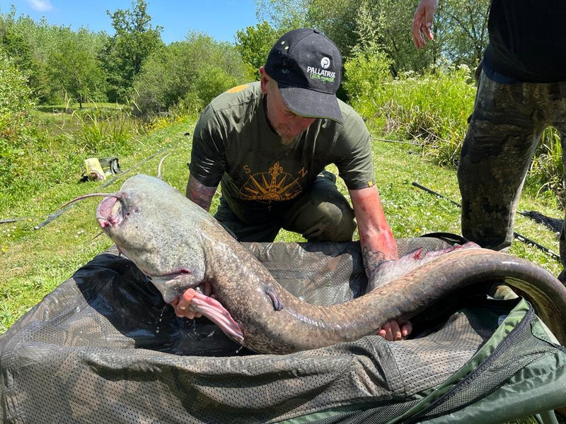 56lb 6oz Catfish caught by Martin F. at Speci 1