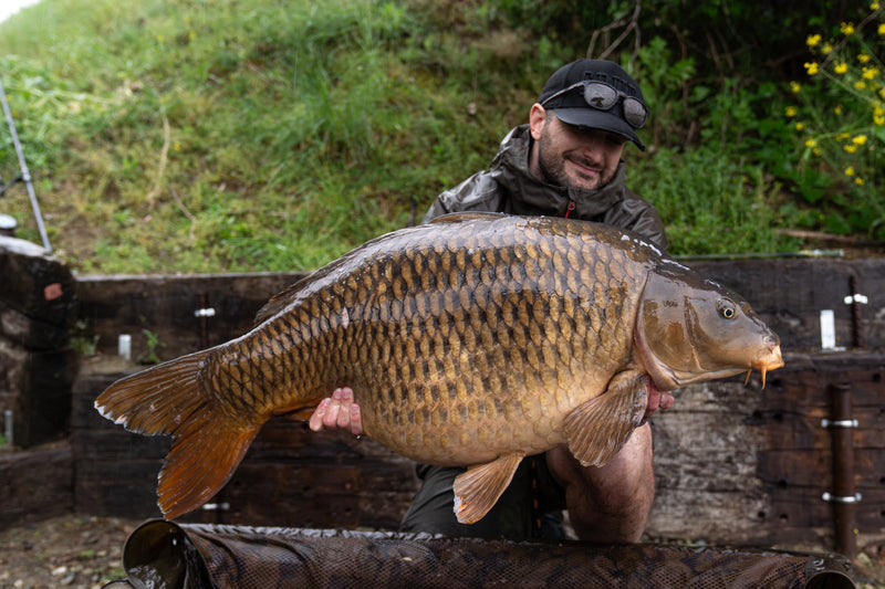 57lb 6oz Common caught by Brad I.