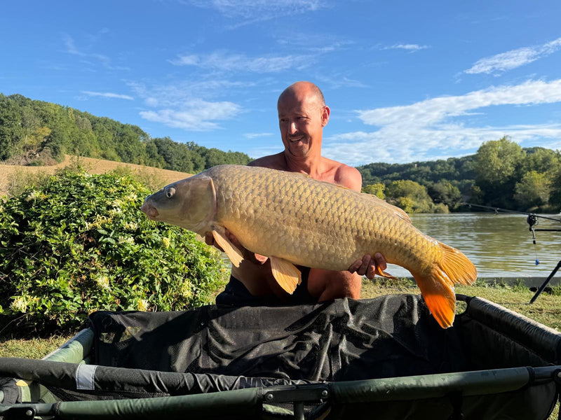 37lb Common caught by Jamie B.